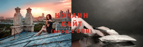 дживик Абаза
