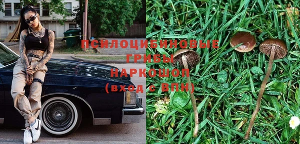 эйфоретик Абинск