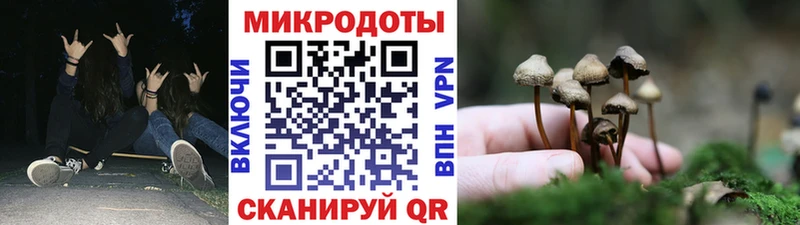 MEGA ССЫЛКА  где купить   Кудымкар  Псилоцибиновые грибы GOLDEN TEACHER 